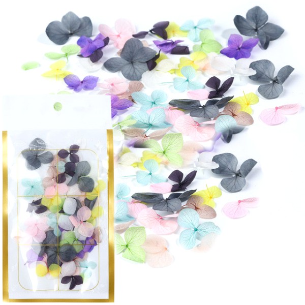 JUSTNAILS Trockenblumen Dry Flowers Set